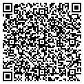 QR code with Lice Solutions Inc contacts