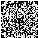 QR code with Briar Financial contacts