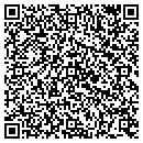 QR code with Public Storage contacts