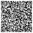 QR code with Pyramid Design Inc contacts