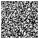 QR code with Premier Computers contacts