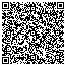 QR code with Premier Glass contacts