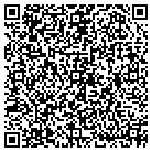 QR code with TeamLogicIT - Hopkins contacts