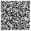 QR code with S Team contacts