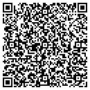 QR code with Blue Hill Auto Sound contacts