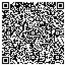 QR code with Cfs Financial Group contacts