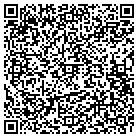 QR code with Pullmann Jennifer R contacts