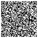 QR code with Capricorn Concepts contacts