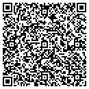 QR code with Cyber Works Of Tahoe contacts