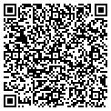 QR code with Dsg Consulting contacts