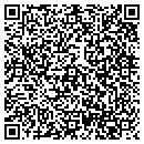 QR code with Premier Glass Company contacts