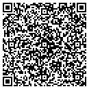 QR code with Premier Chem-Dry contacts