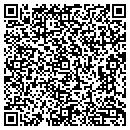 QR code with Pure Energy Int contacts