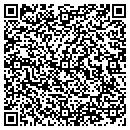 QR code with Borg Systems Corp contacts