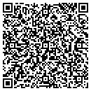QR code with Pro Glass & Dent Inc contacts