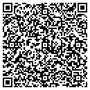 QR code with Process Consulting contacts