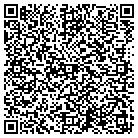 QR code with Pulsipher Technology Association contacts