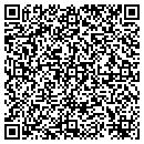 QR code with Chaney Industries Inc contacts