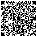 QR code with Precise Infotech Inc contacts