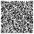 QR code with Bluelight Software LLC contacts