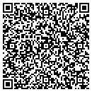 QR code with Puregeek Net contacts