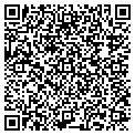 QR code with Mvg Inc contacts