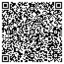 QR code with Project Glass Ny LLC contacts