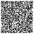 QR code with Pulse, LLC contacts