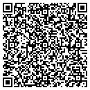 QR code with Puffinware LLC contacts