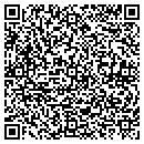 QR code with Professional Library contacts