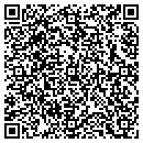 QR code with Premier Auto Glass contacts