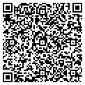 QR code with Modlab contacts
