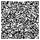 QR code with Cjw Consulting Inc contacts
