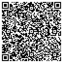 QR code with Carbon Valley Library contacts