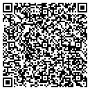 QR code with Chameleon Technologies contacts