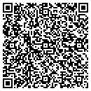 QR code with Cubs Consulting Inc contacts