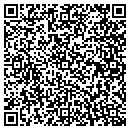 QR code with Cybage Software Inc contacts