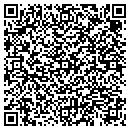 QR code with Cushing Anne G contacts