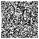 QR code with Pyramid Financial Group contacts