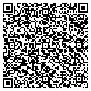 QR code with Praktik Hosting LLC contacts