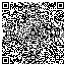 QR code with Precision Glass LLC contacts