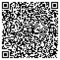 QR code with Nccat contacts