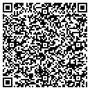 QR code with Pyramid Sunglass LLC contacts