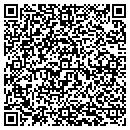 QR code with Carlson Financial contacts