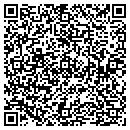 QR code with Precipice Networks contacts