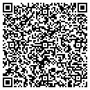 QR code with Steinhoff Consulting contacts