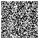 QR code with Psi Scuba Instruction contacts