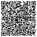 QR code with Netech contacts