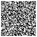QR code with Punctuate Systems Inc contacts
