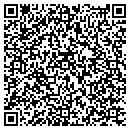 QR code with Curt Johnson contacts